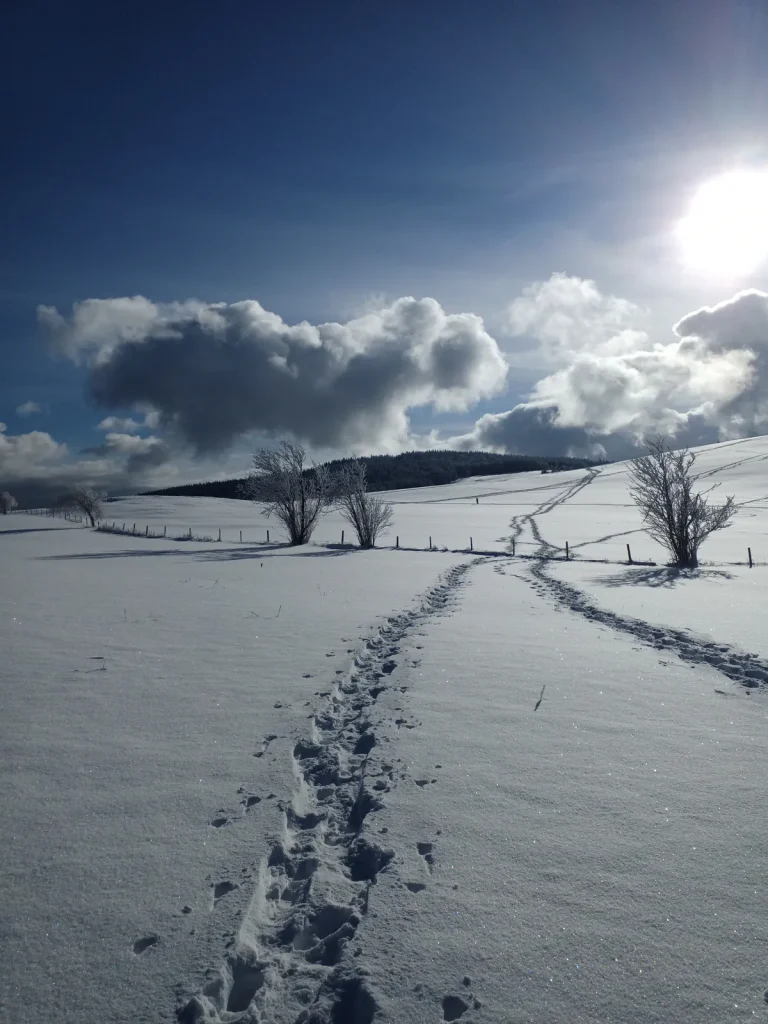 Im Winter